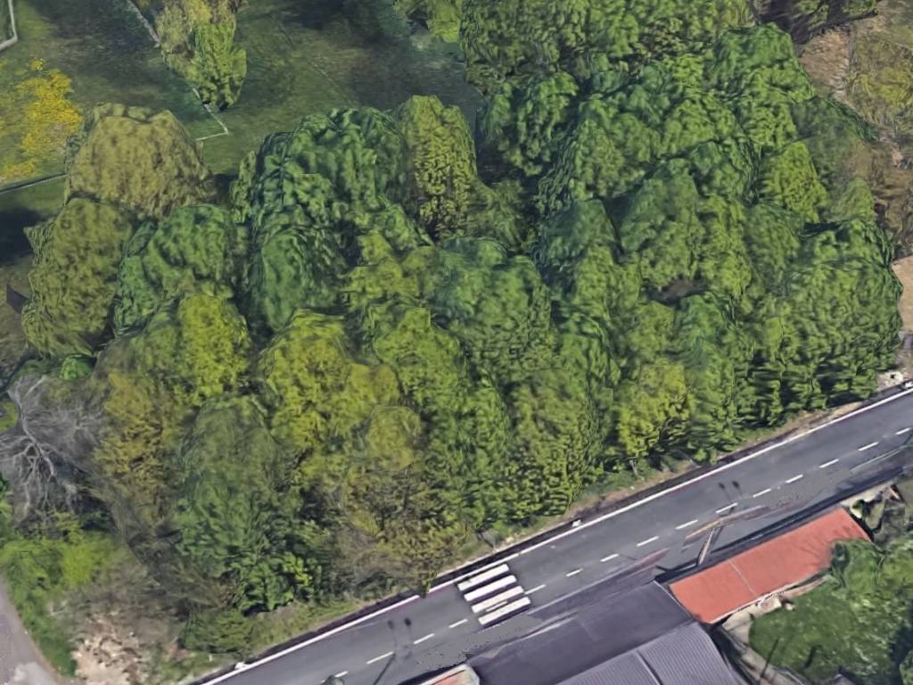 immagine annuncio 1 di 2