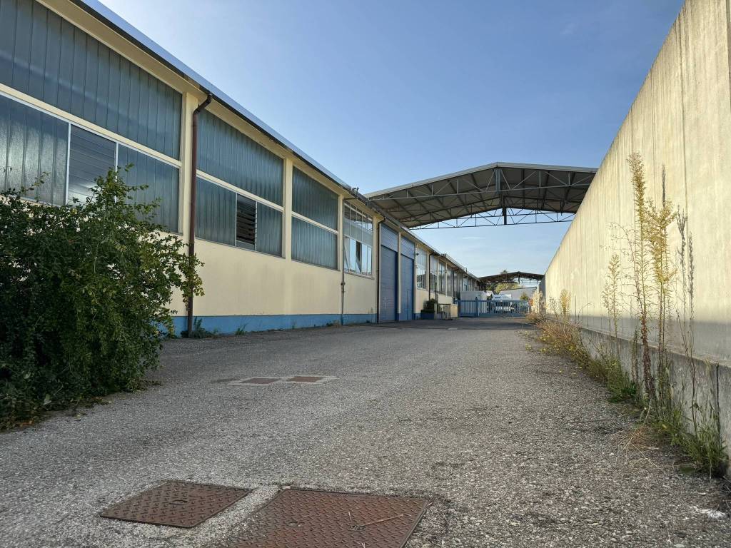 immagine annuncio 3 di 5