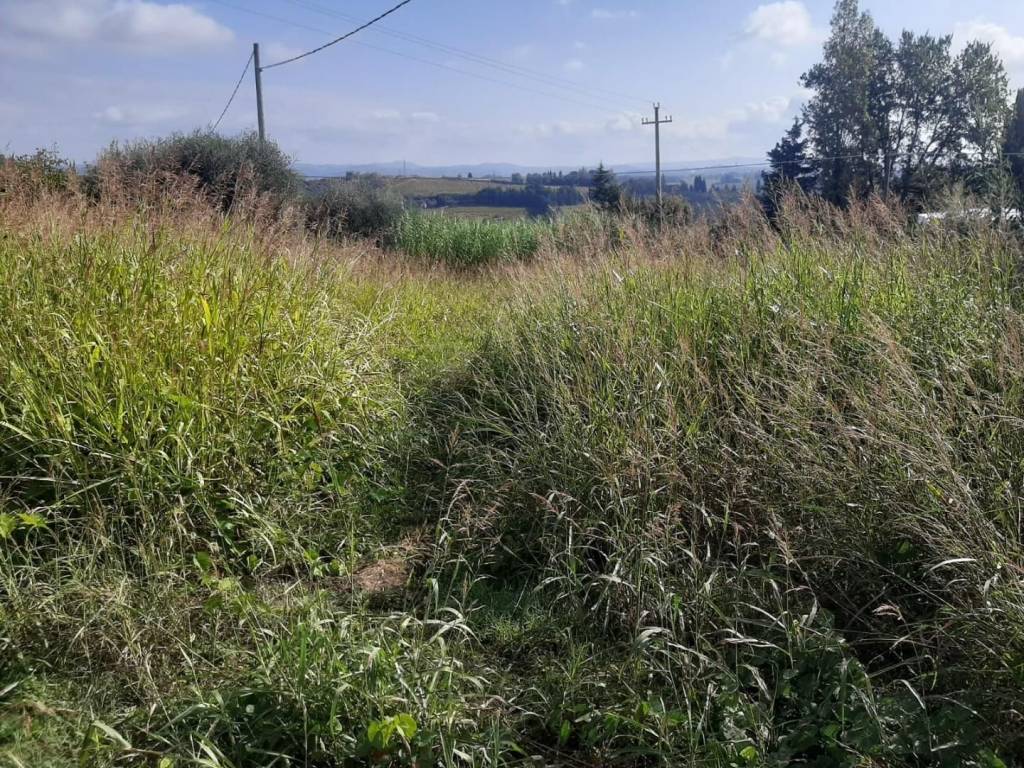 immagine annuncio 1 di 4