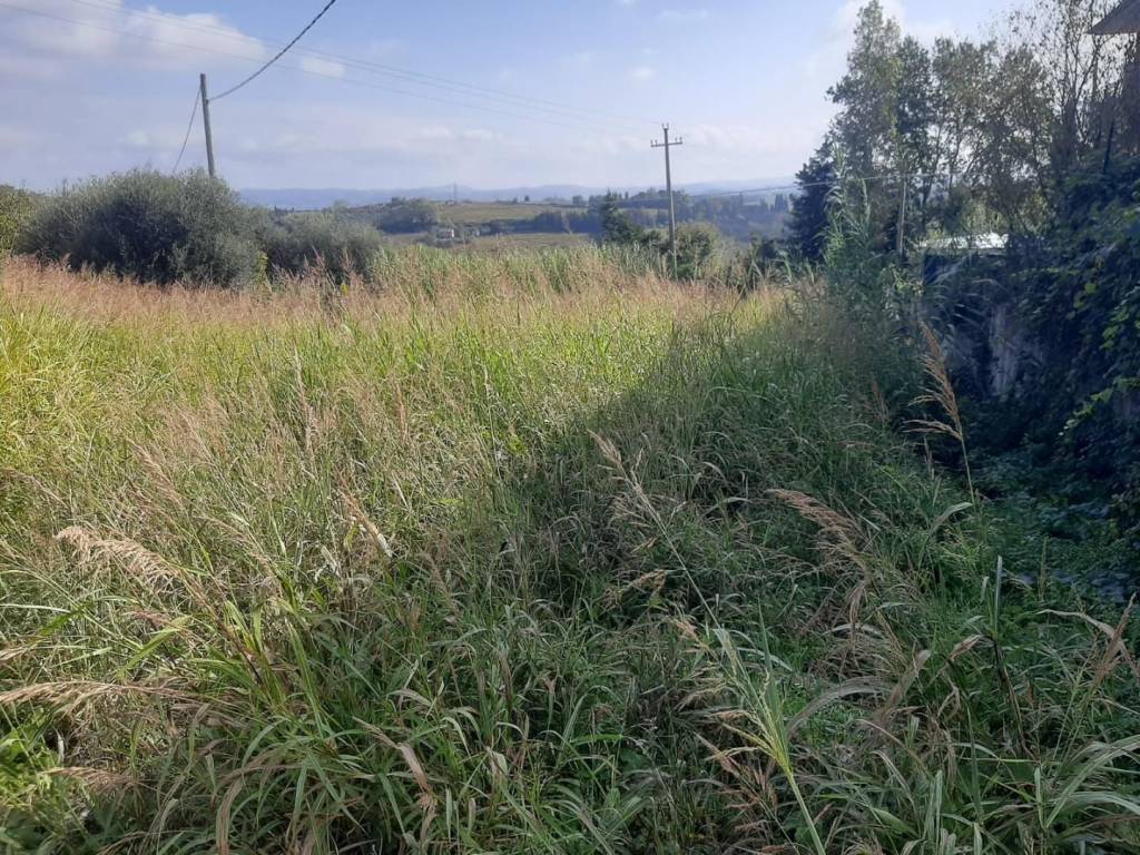 immagine annuncio 2 di 4