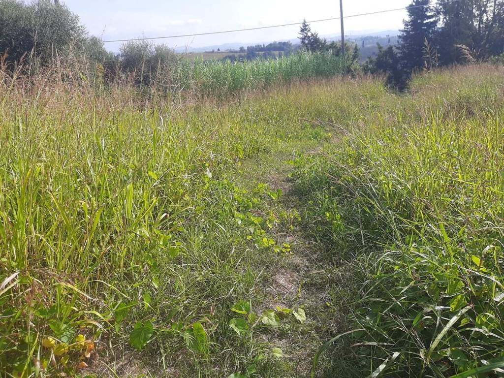 immagine annuncio 3 di 4