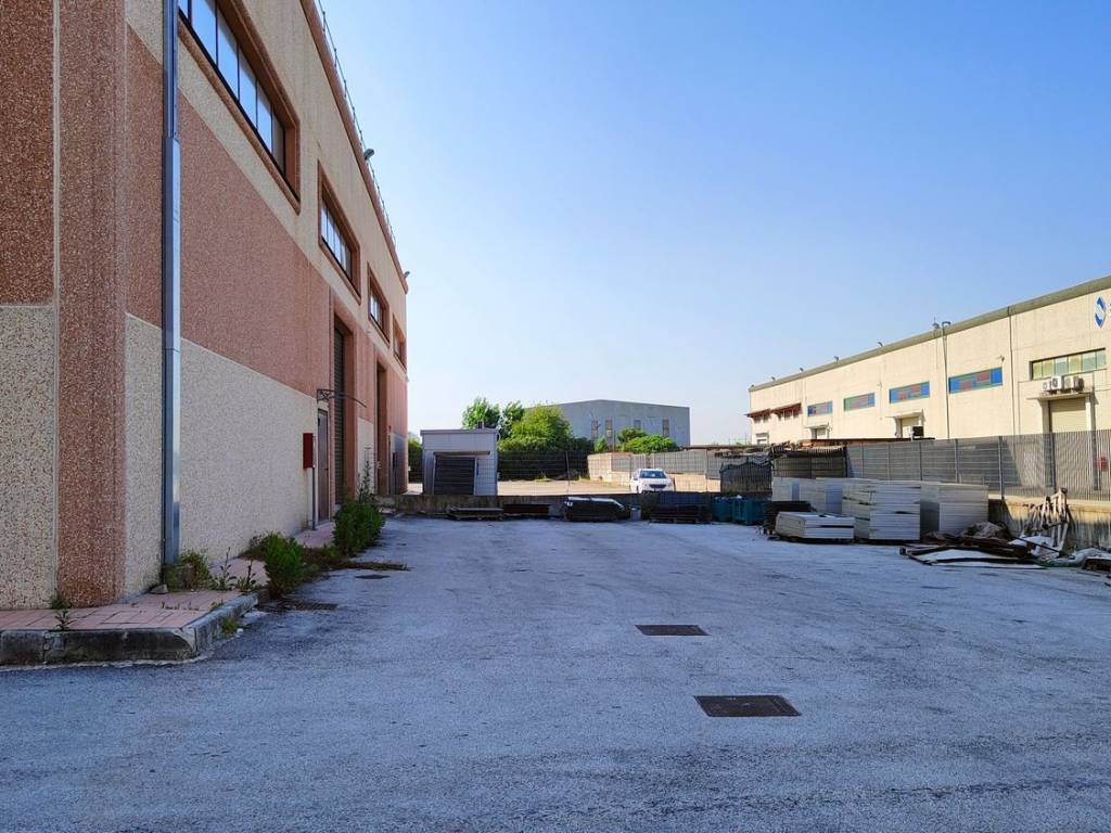 immagine annuncio 4 di 5
