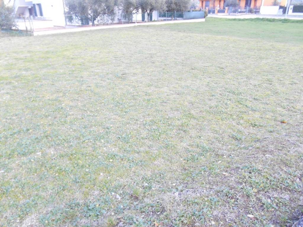 immagine annuncio 2 di 3