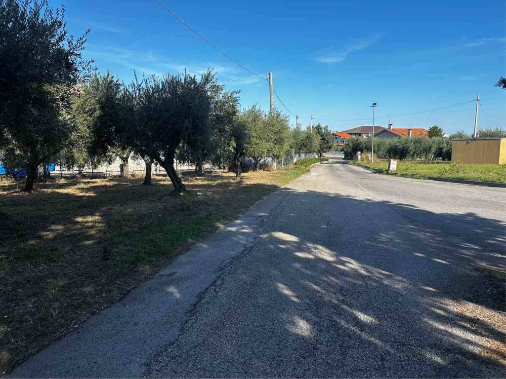 immagine annuncio 3 di 4