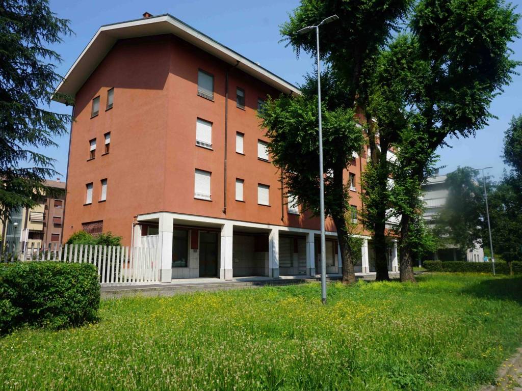 immagine annuncio 3 di 5