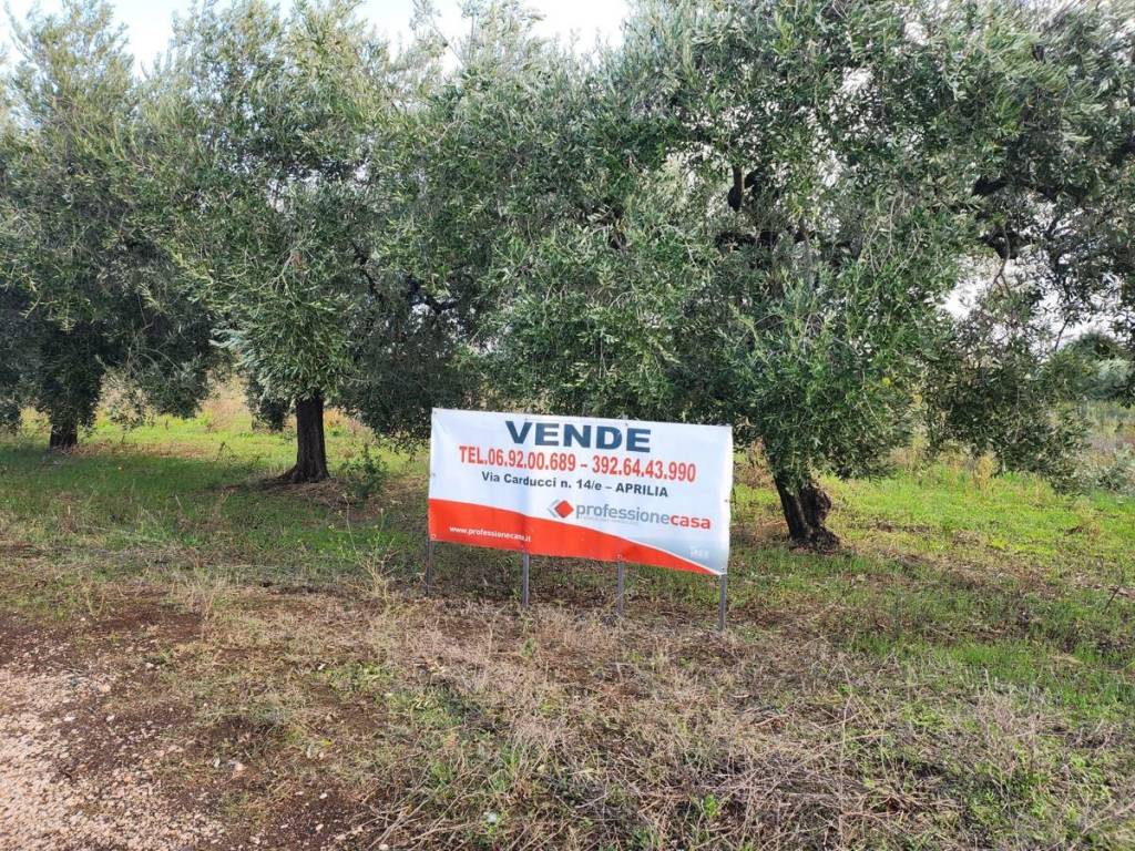 immagine annuncio 3 di 4