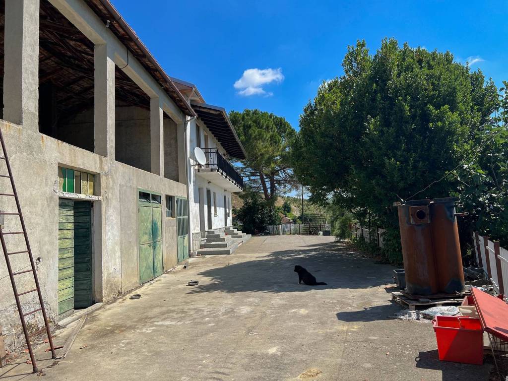 immagine annuncio 4 di 5
