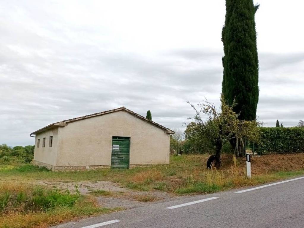immagine annuncio 1 di 4