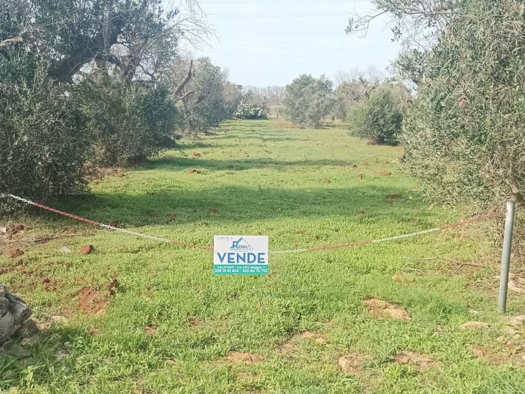 immagine annuncio 2 di 3