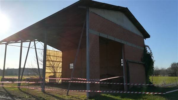 immagine annuncio 3 di 5