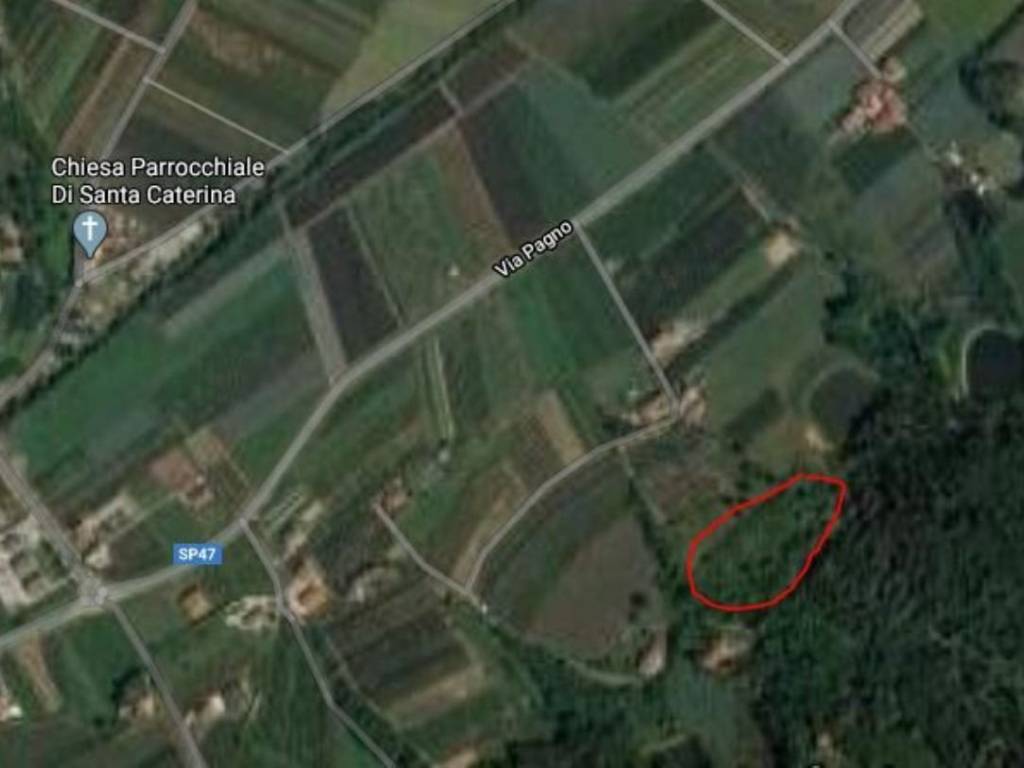 immagine annuncio 1 di 2