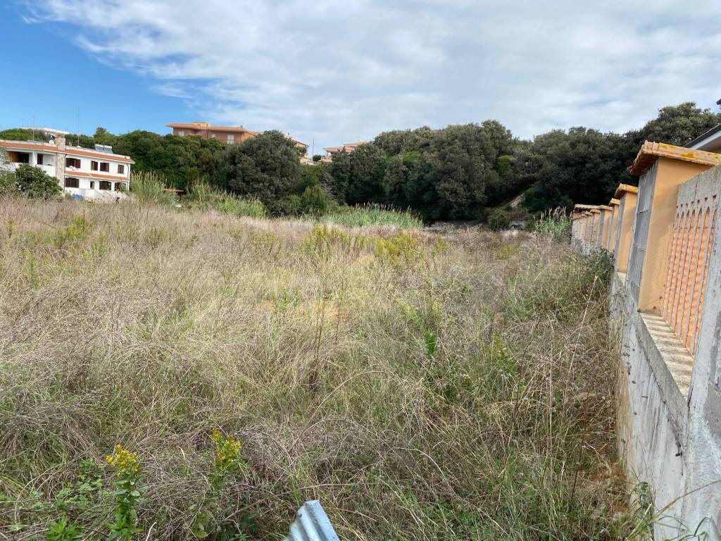 immagine annuncio 2 di 3