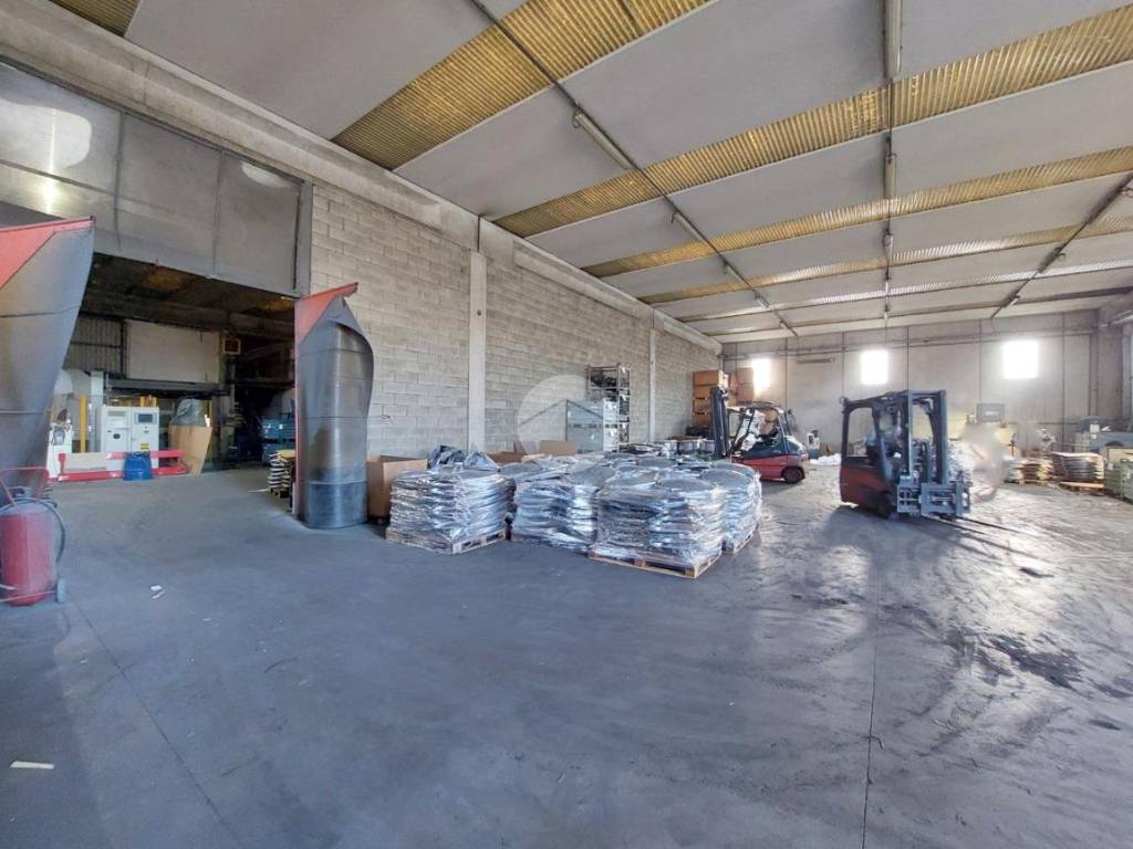 immagine annuncio 2 di 5