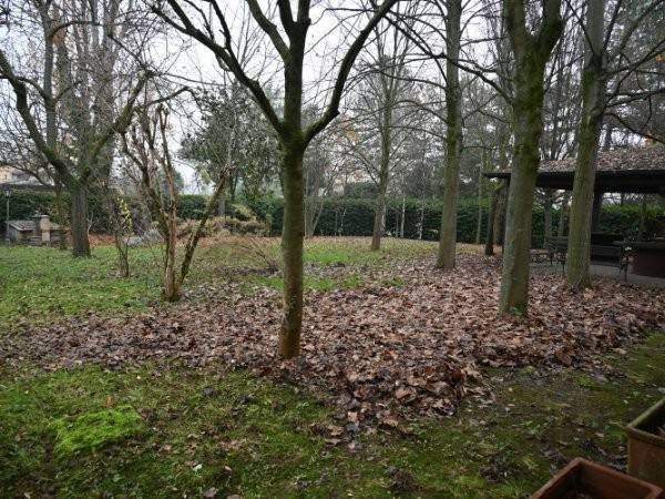 immagine annuncio 1 di 2