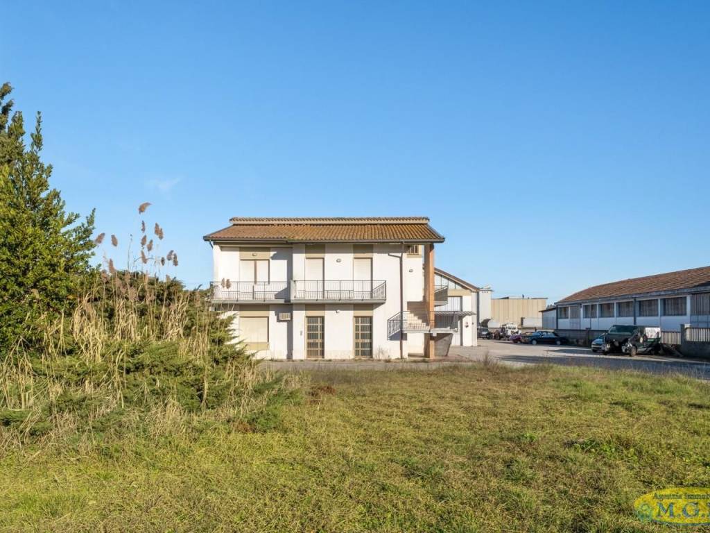 immagine annuncio 2 di 4