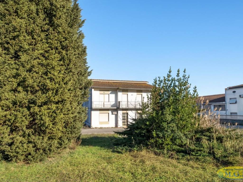 immagine annuncio 3 di 4