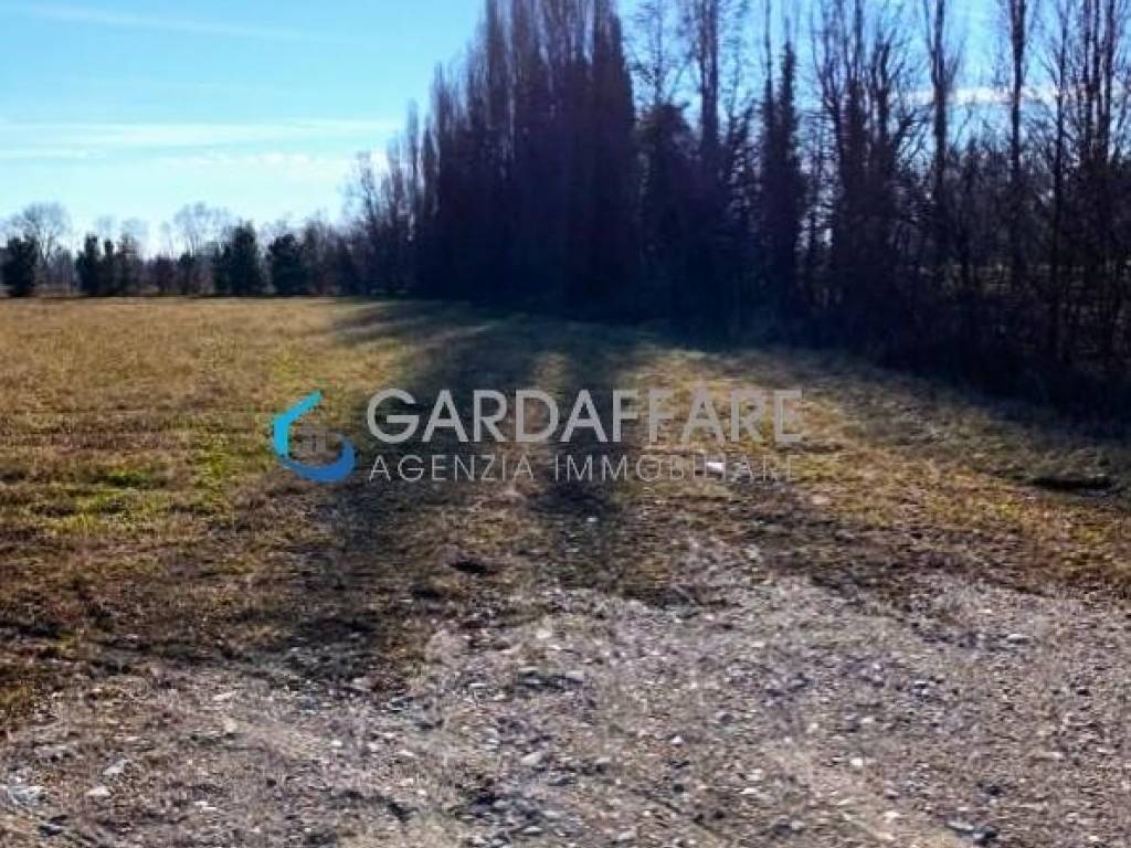 immagine annuncio 2 di 4