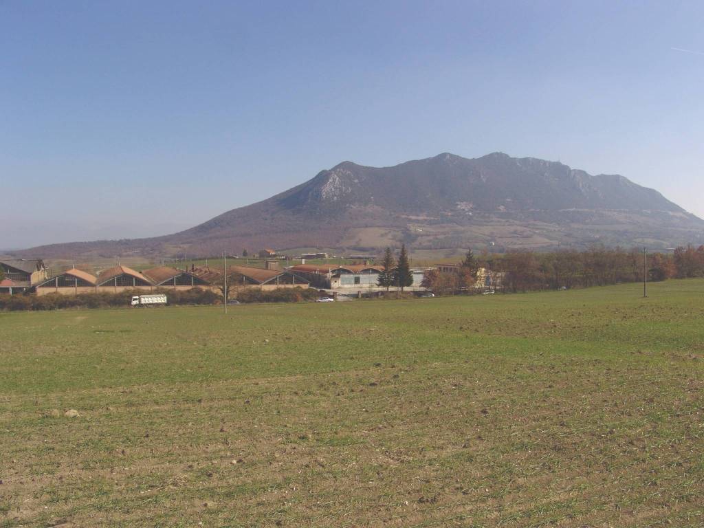 immagine annuncio 1 di 2