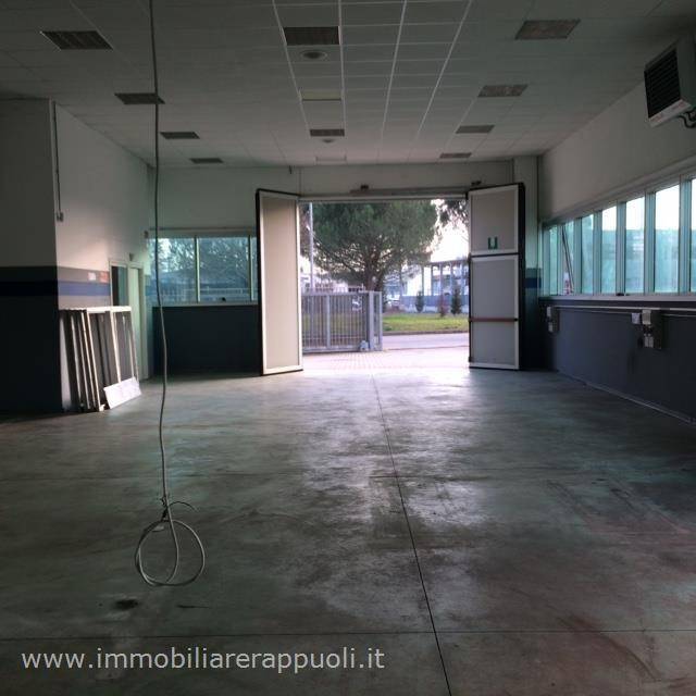 immagine annuncio 2 di 4