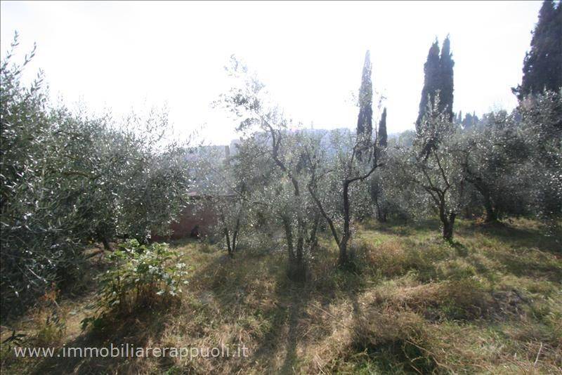 immagine annuncio 1 di 4