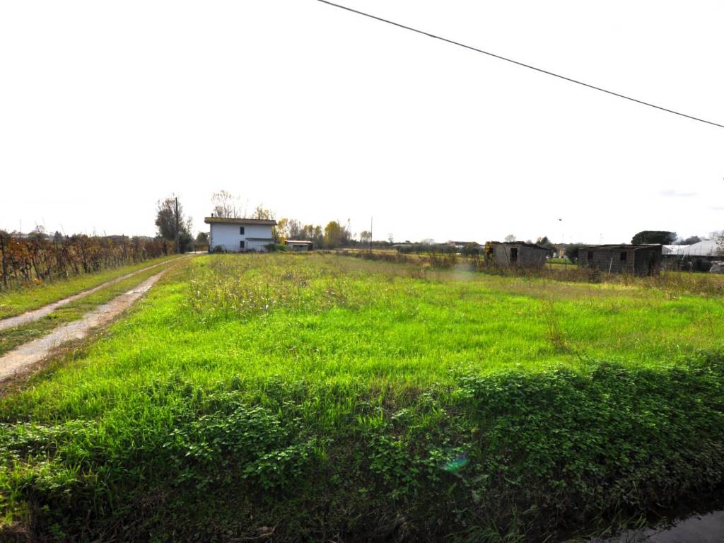 immagine annuncio 1 di 2