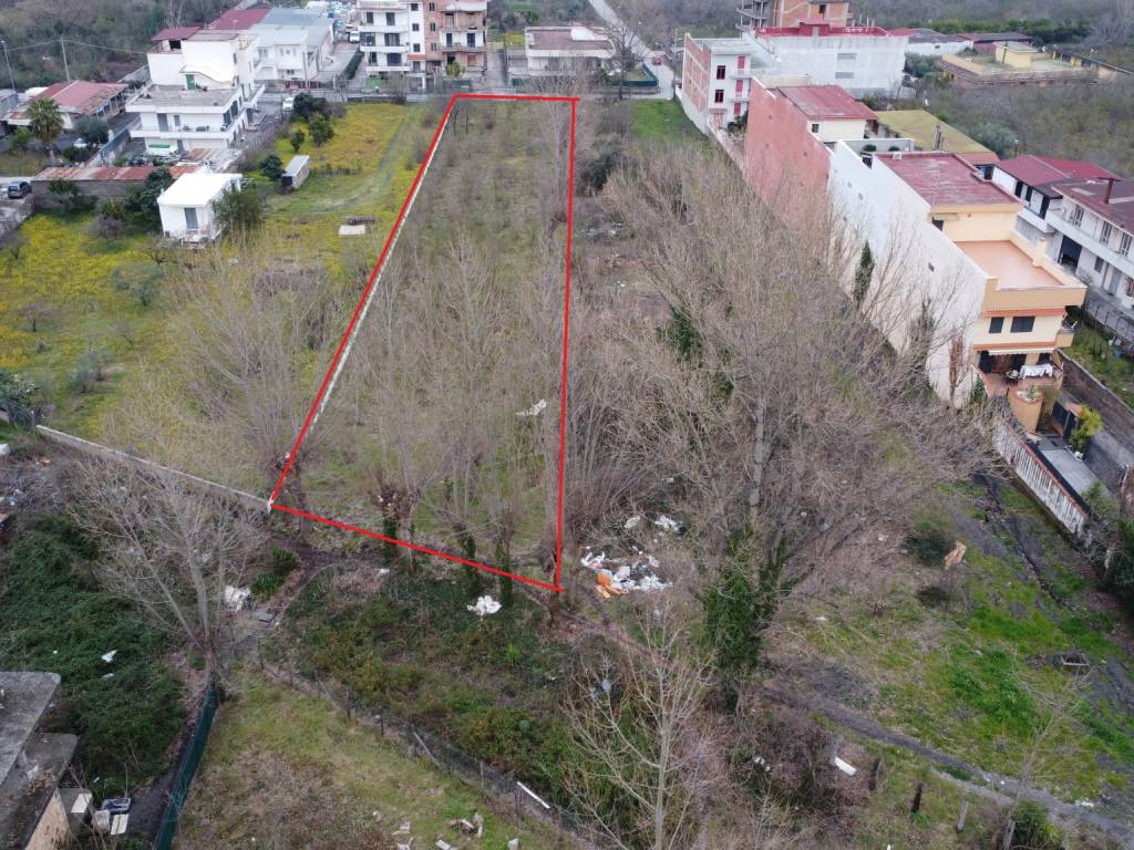 immagine annuncio 2 di 4