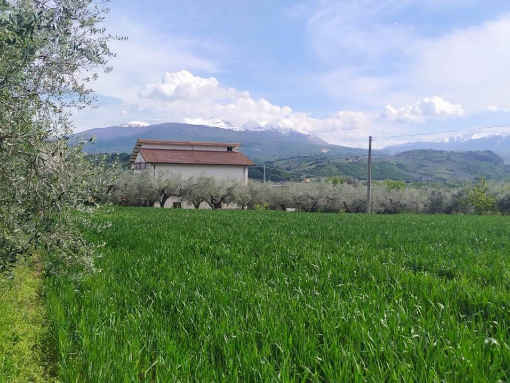 terreno edificabile in vendita a Rosciano