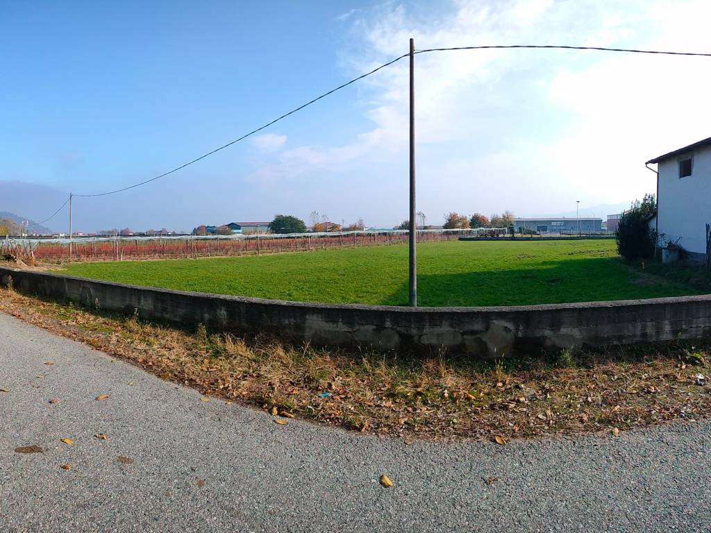 immagine annuncio 1 di 4