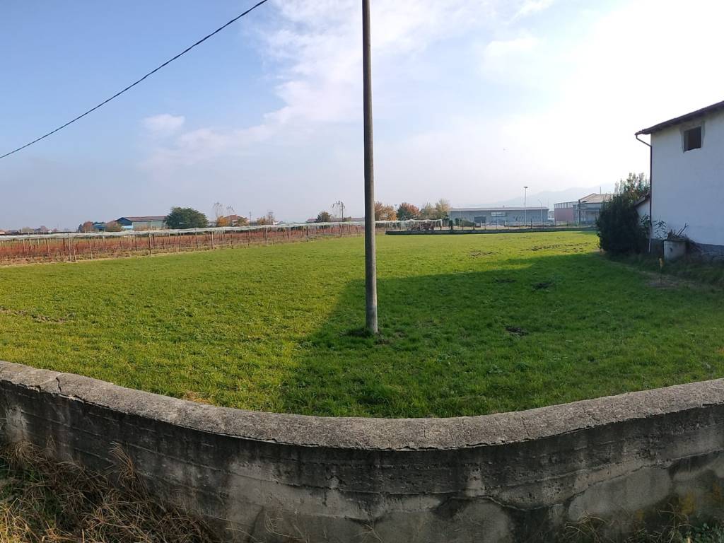 immagine annuncio 2 di 4