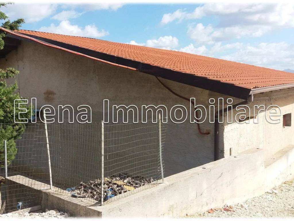 immagine annuncio 2 di 4