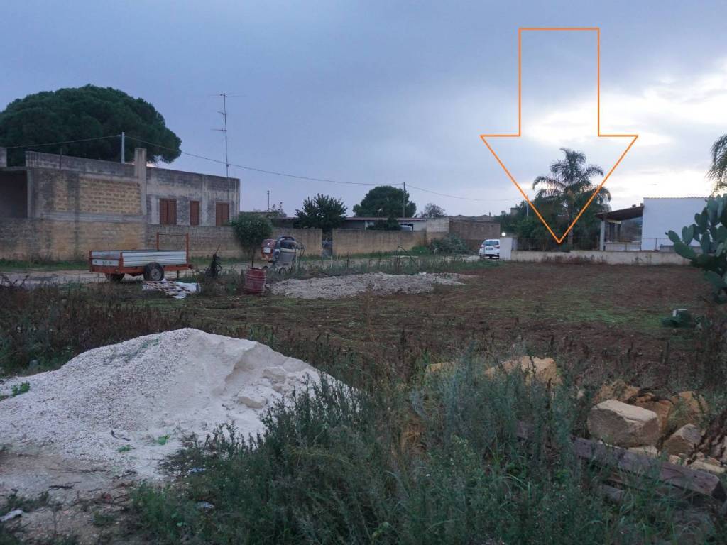 immagine annuncio 2 di 4