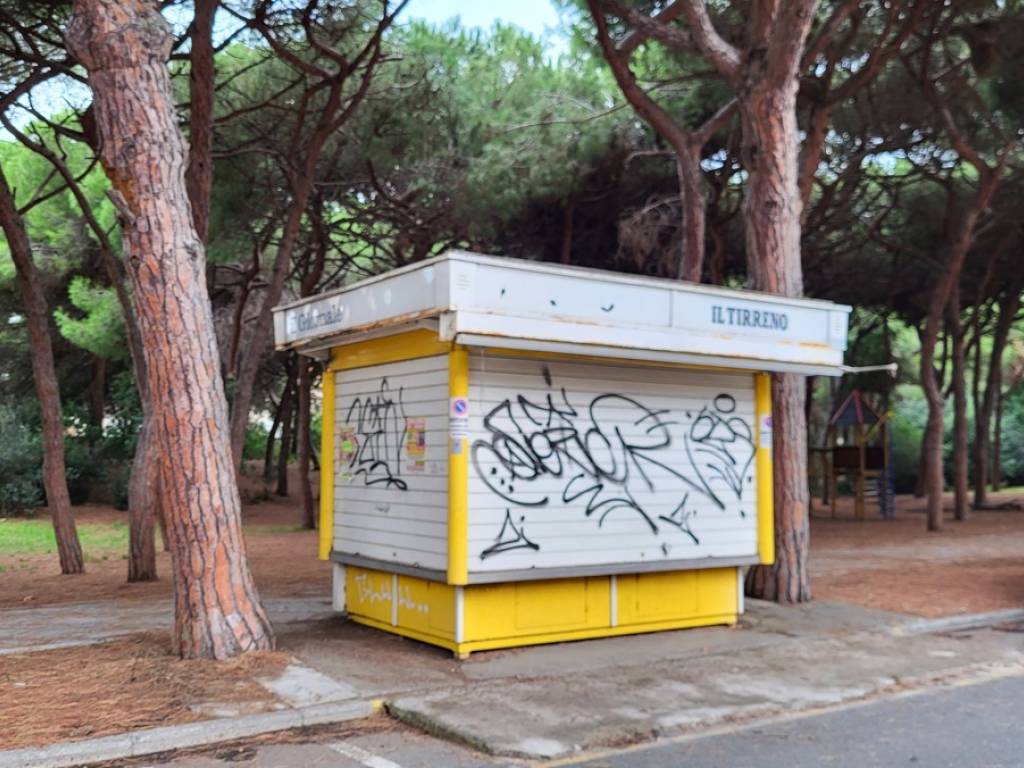 immagine annuncio 2 di 5