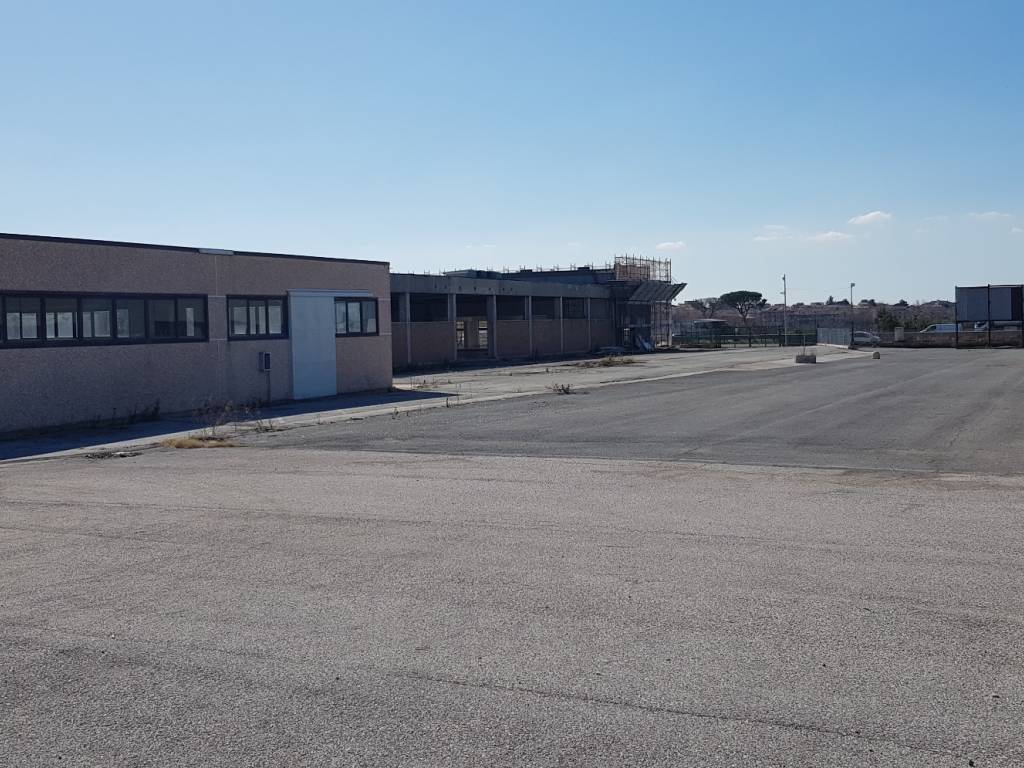 immagine annuncio 2 di 3