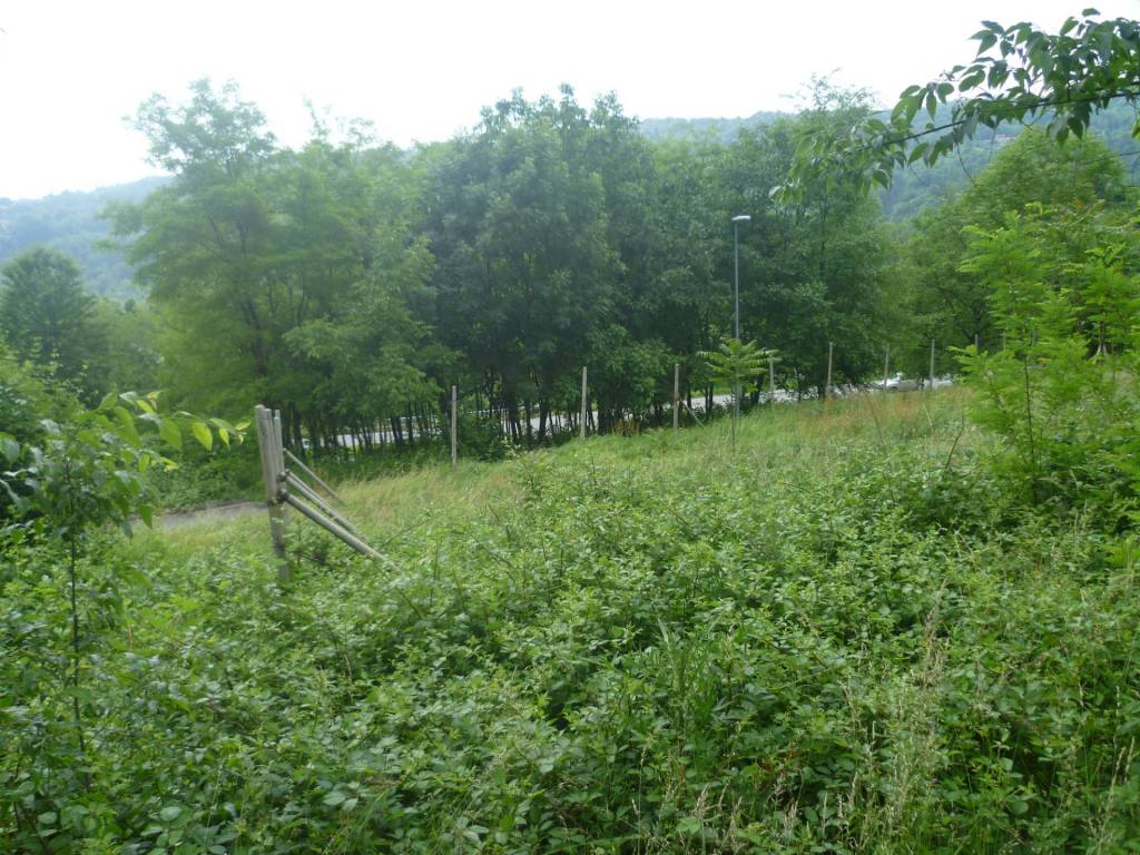 immagine annuncio 1 di 3