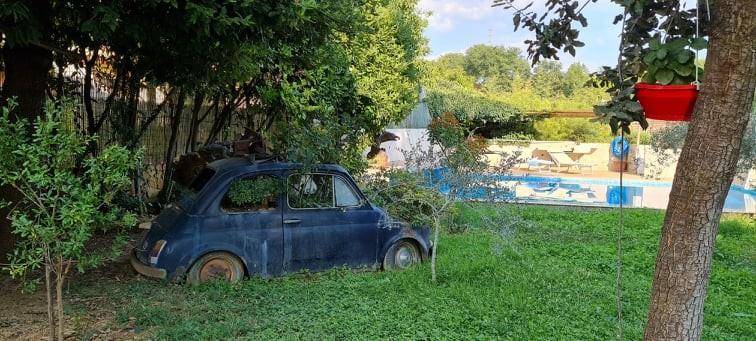 immagine annuncio 1 di 5