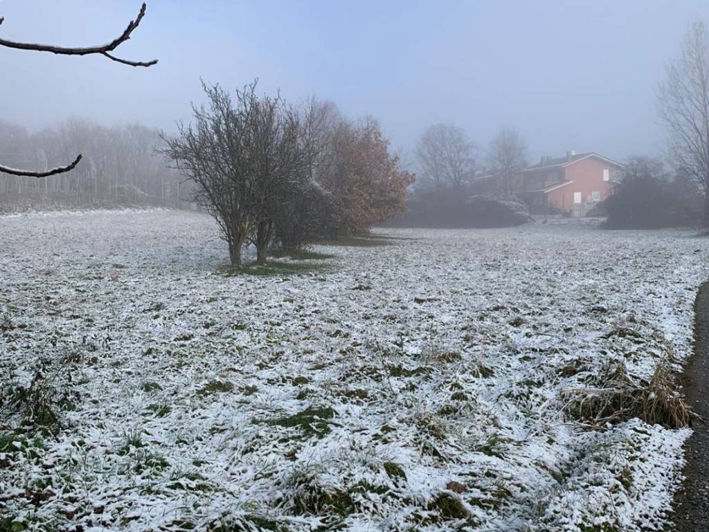 immagine annuncio 1 di 4