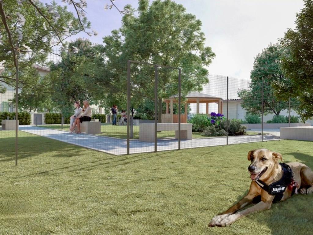 immagine annuncio 4 di 5