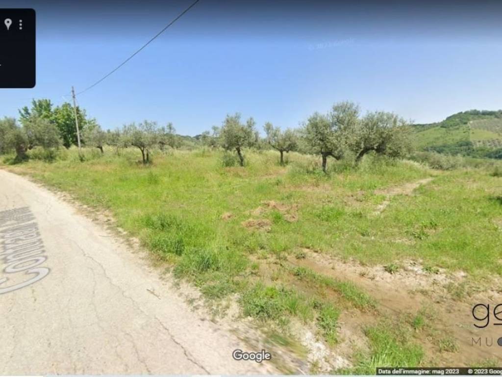 immagine annuncio 3 di 4