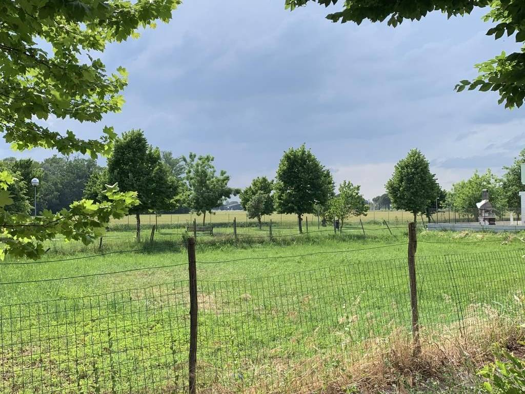 negozio in vendita a Russi