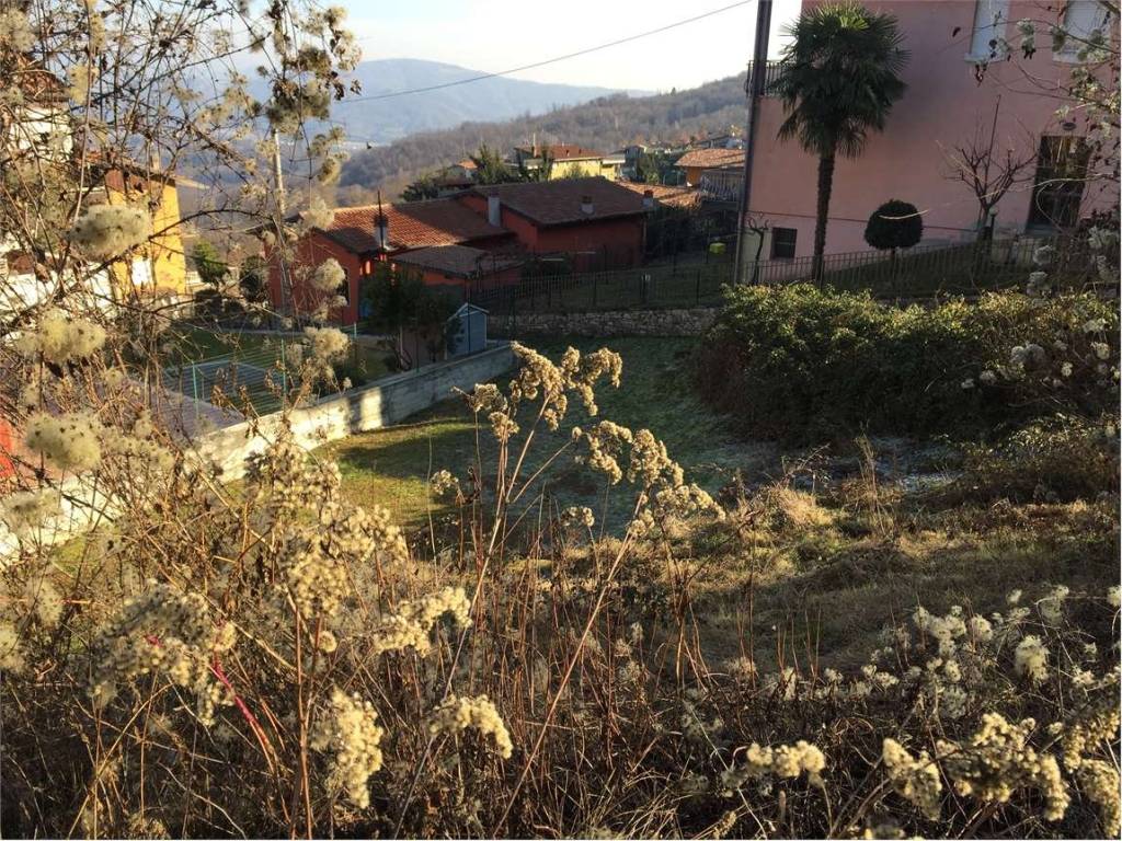immagine annuncio 2 di 3