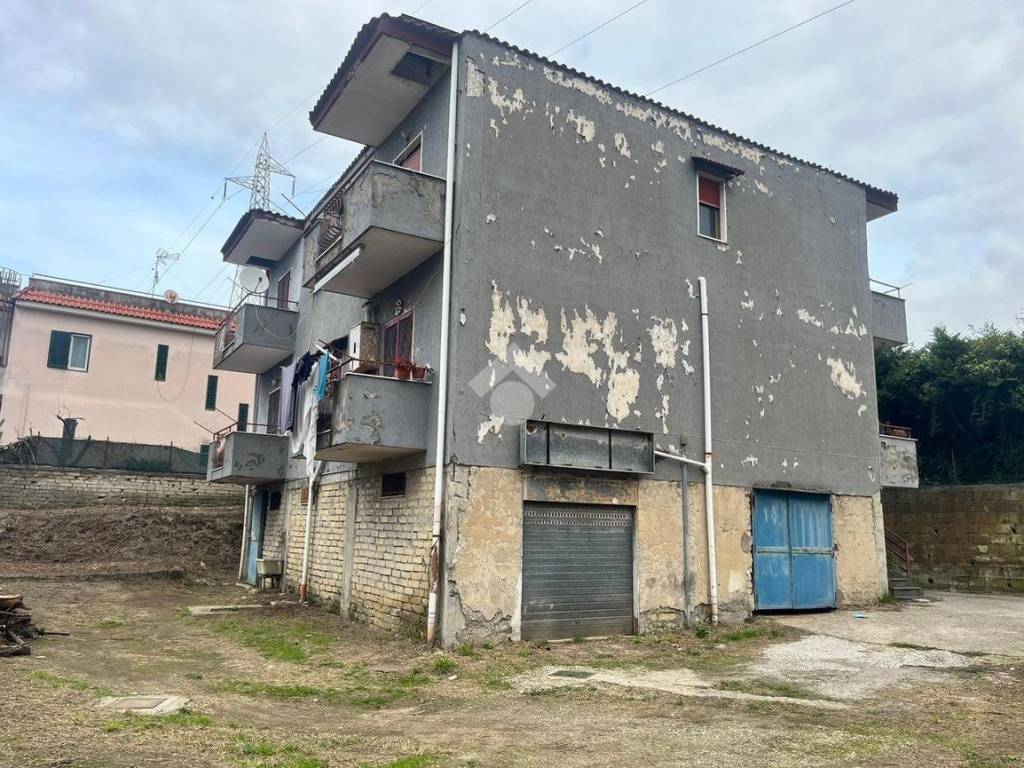 immagine annuncio 2 di 5