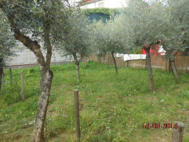 immagine annuncio 1 di 3