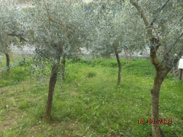 immagine annuncio 2 di 3