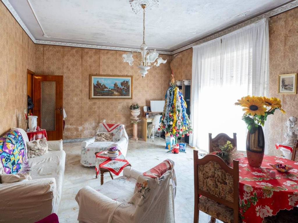 immagine annuncio 0 di 15