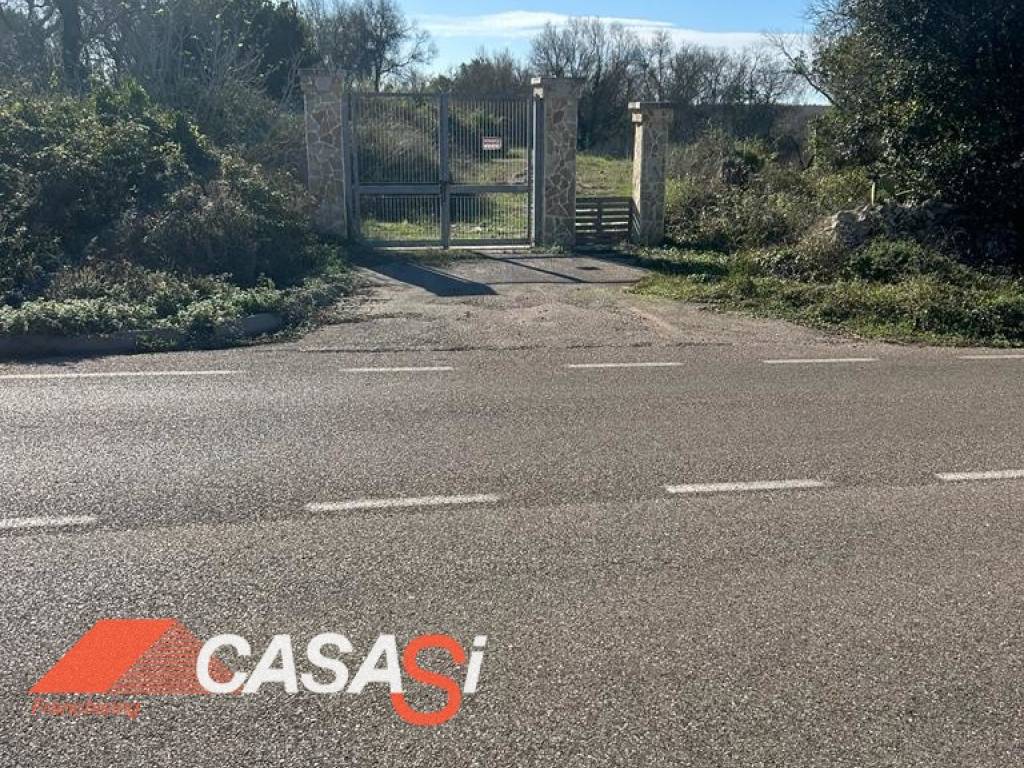 immagine annuncio 2 di 3