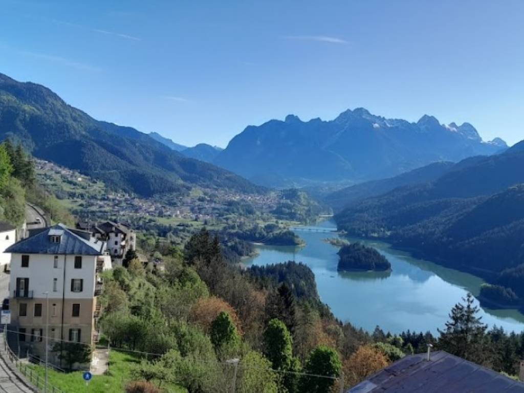 immagine annuncio 2 di 4