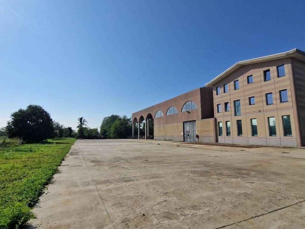 immagine annuncio 4 di 5