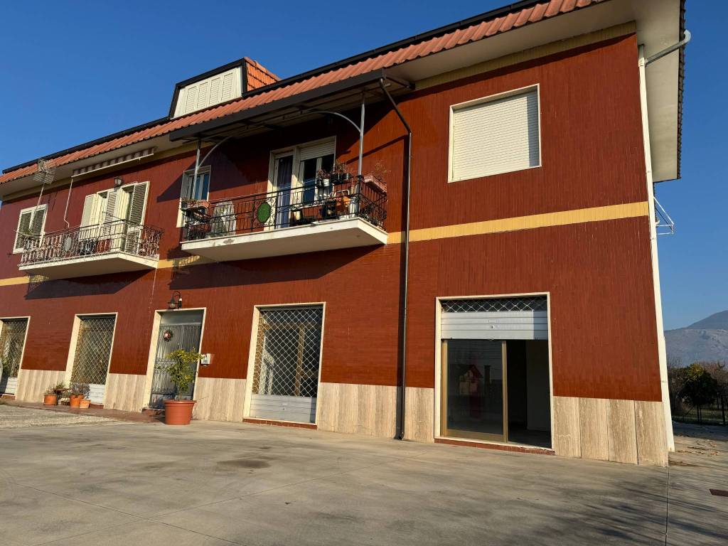 immagine annuncio 2 di 5