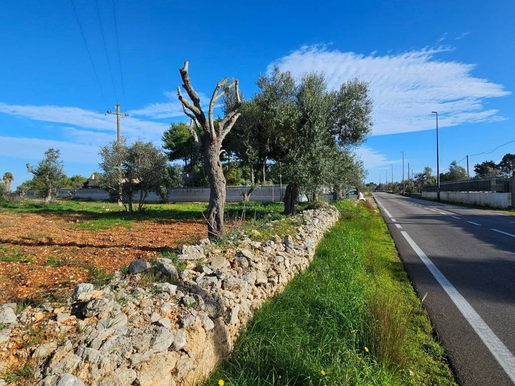 immagine annuncio 1 di 4