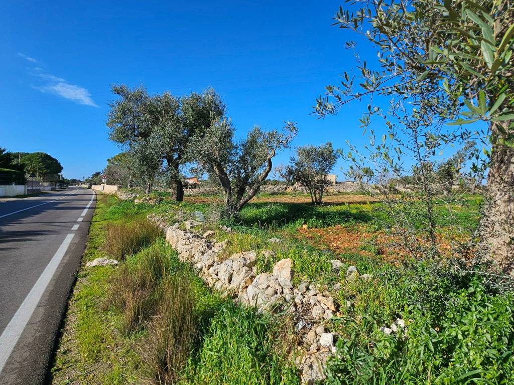 immagine annuncio 3 di 4